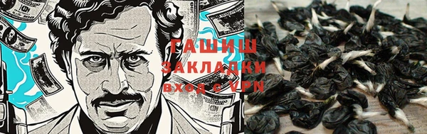 ГАЛЛЮЦИНОГЕННЫЕ ГРИБЫ Нефтегорск