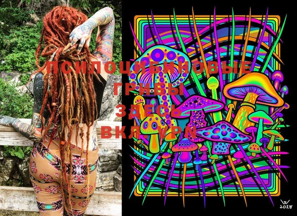 ГАЛЛЮЦИНОГЕННЫЕ ГРИБЫ Нефтегорск