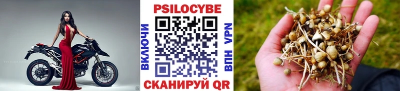 Псилоцибиновые грибы GOLDEN TEACHER  Купить  Пермь 